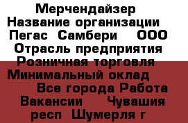 Мерчендайзер › Название организации ­ "Пегас" Самбери-3, ООО › Отрасль предприятия ­ Розничная торговля › Минимальный оклад ­ 23 500 - Все города Работа » Вакансии   . Чувашия респ.,Шумерля г.